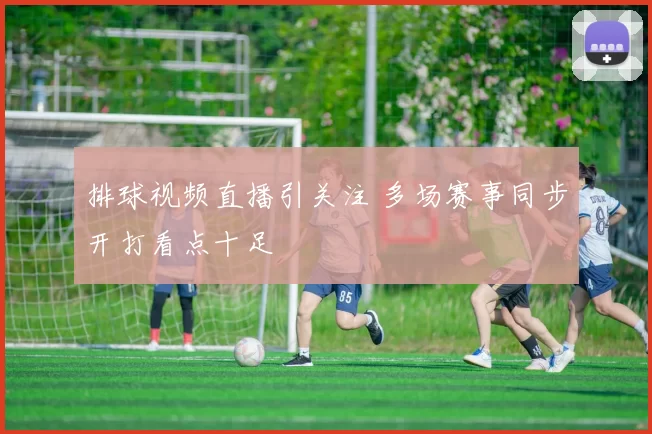排球视频直播引关注 多场赛事同步开打看点十足