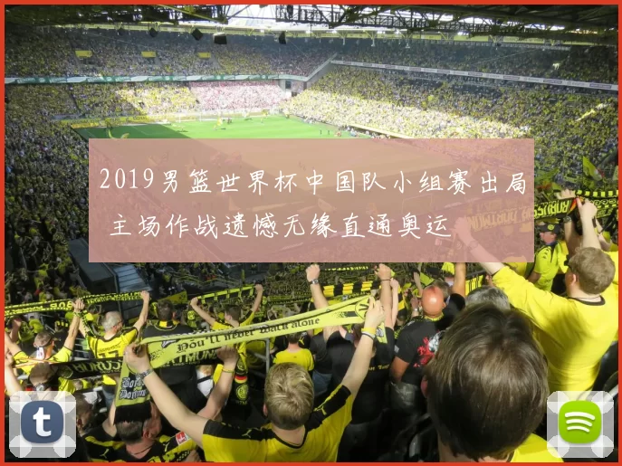 2019男篮世界杯中国队小组赛出局 主场作战遗憾无缘直通奥运