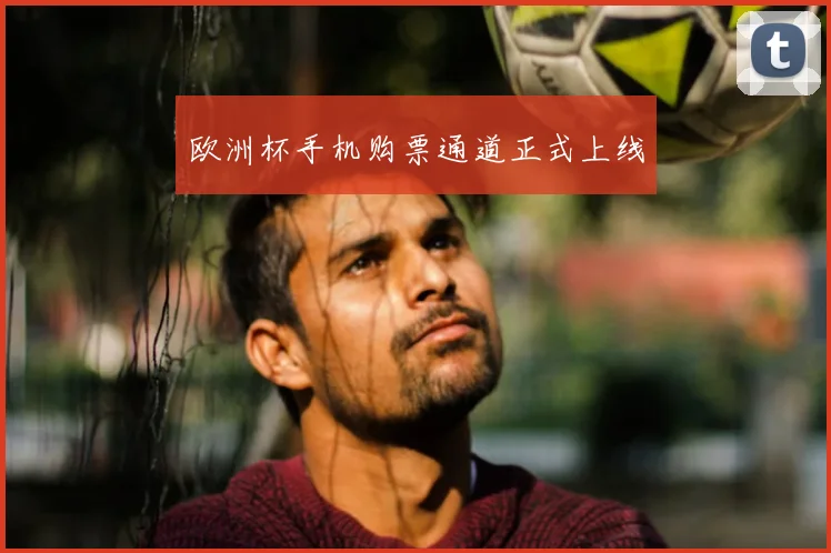 欧洲杯手机购票通道正式上线