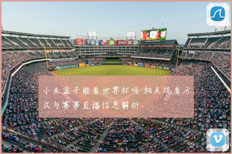小米盒子能看世界杯吗 相关观看方式与赛事直播信息解析