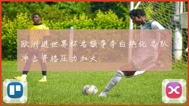 欧洲进世界杯名额争夺白热化 各队冲击资格压力加大
