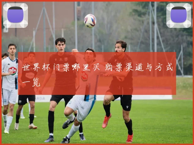 世界杯门票哪里买 购票渠道与方式一览