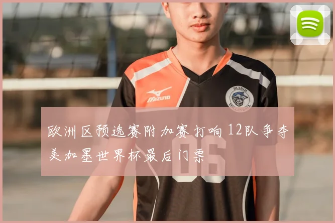 欧洲区预选赛附加赛打响 12队争夺美加墨世界杯最后门票